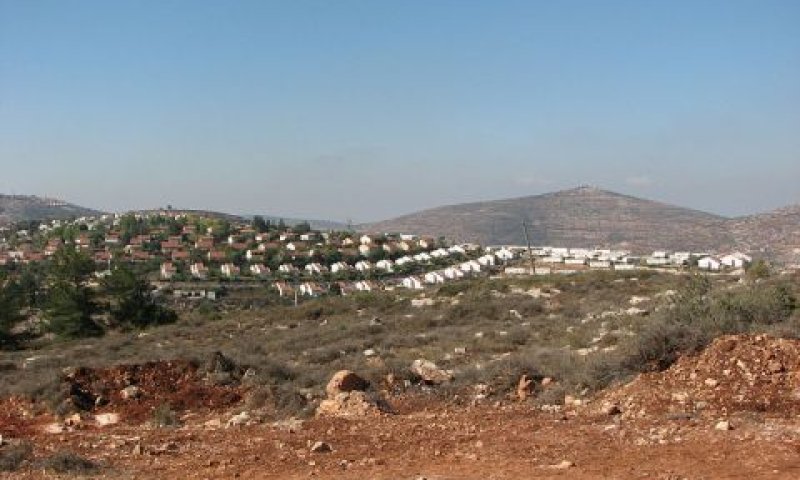 לא הוכחה כוונה לפגוע