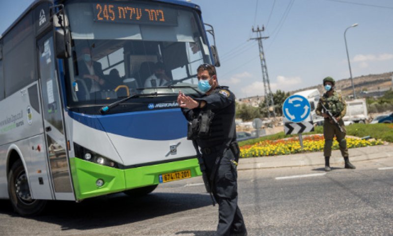 שורה של הפרות [צילום: יונתן זינדל, פלאש 90]