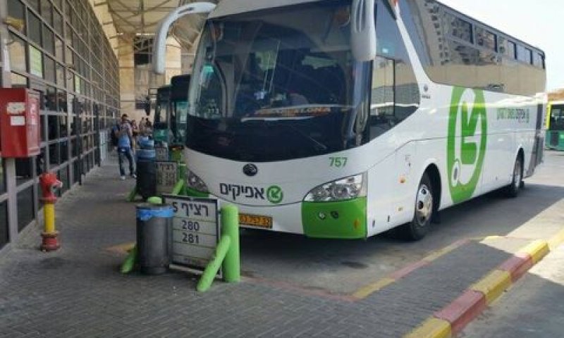 [צילום: מולי מנדלסון]