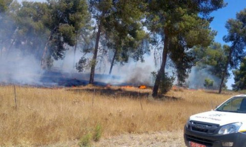 150 מטיילים פונו. שריפה ביער המלאכים [צילום: משטרת ישראל]