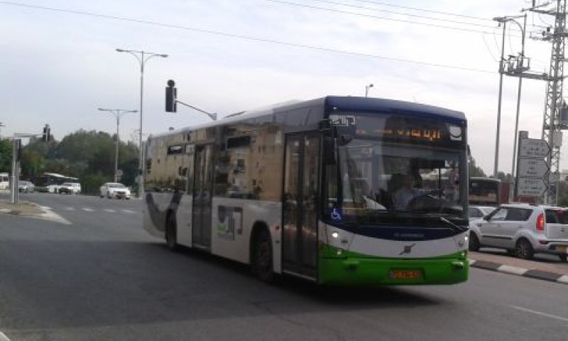 קווים. תחבורה ציבורית בשבת במשולש