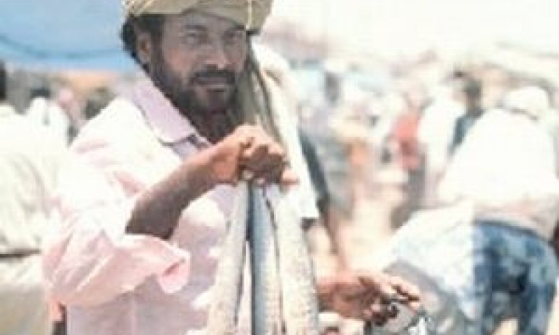 תימן. הפיגוע נכשל [צילום אילוסטרציה: AP]