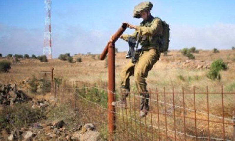 [צילום: AP]