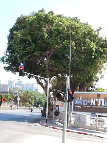 [צילום: יח"צ]