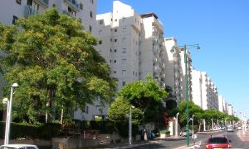צעד לקראת הזוגות הצעירים [צילום: עומר שיקלר]