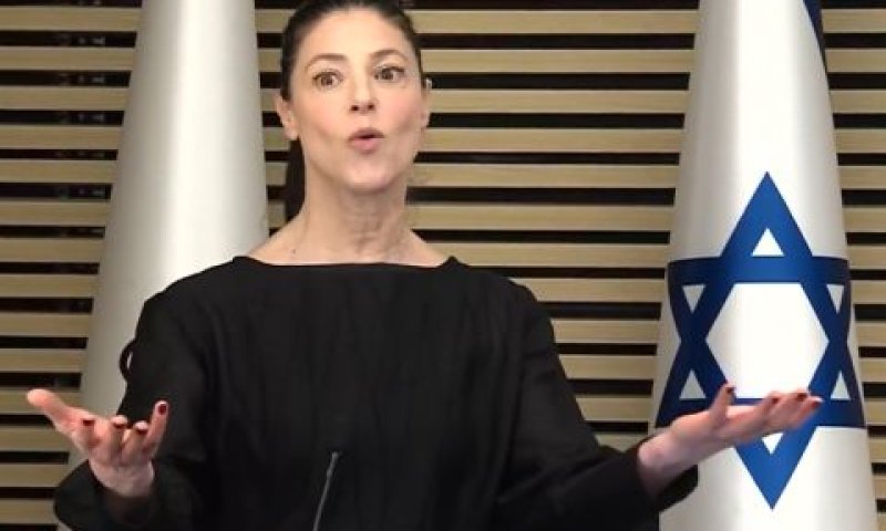 ח"כ מיכאלי. תנאי של מפלגת העבודה [צילום: מן הטלוויזיה]