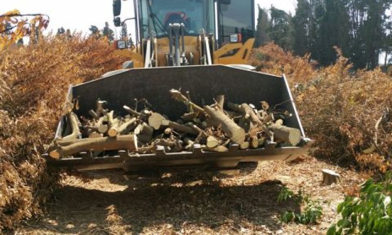 [צילום: שי אספיר ובהדג'ת כחיל/רט"ג]