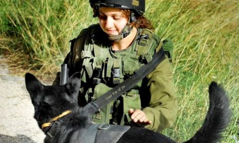 [צילום: דו"צ]