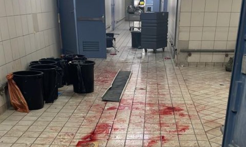 דם בזירת הפגיעה [צילום: שימוש לפי סעיף 27א לחוק זכויות יוצרים]