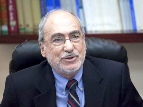 גרוניס. מרחיב את ההגדרה [צילום: פלאש 90]