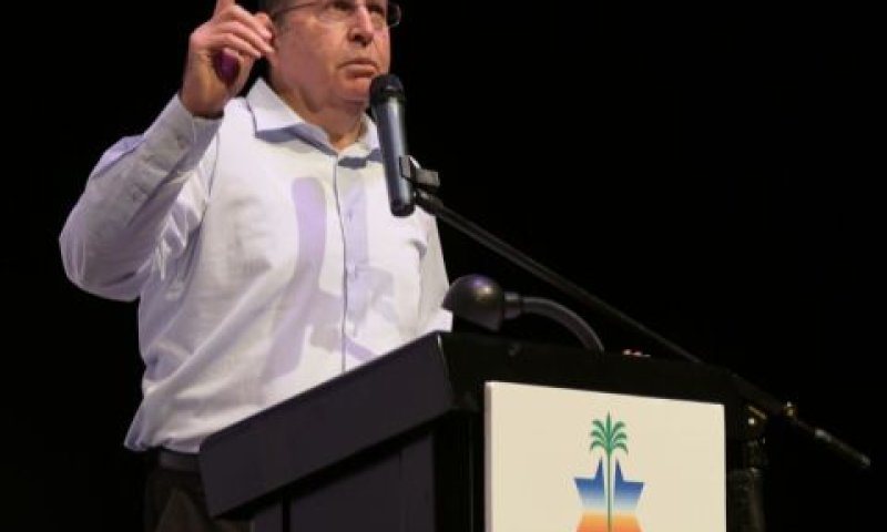יעלון. לטפל בשורש [צילום: יוסי זליגר]