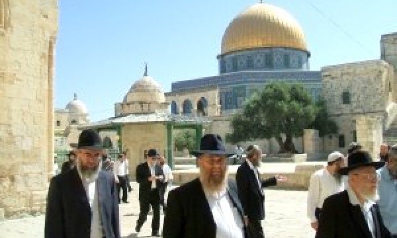 עליית רבנים להר הבית [צילום: שמעון אלבוים]