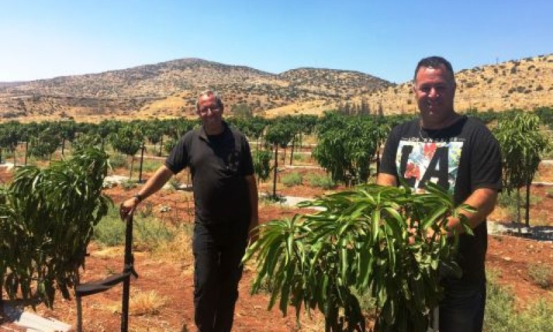 אבי מעוז ויוסי פורטל בשטחי המנגו [צילום: טוף מרום גולן]