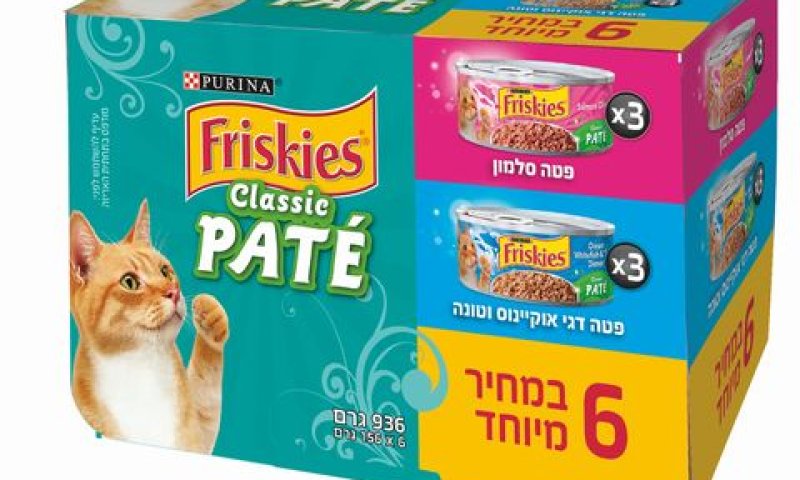 [צילום: יח"צ]
