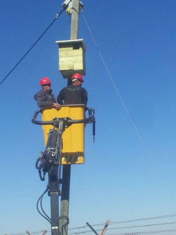 הדברה ביולוגית [צילום: יח"צ]