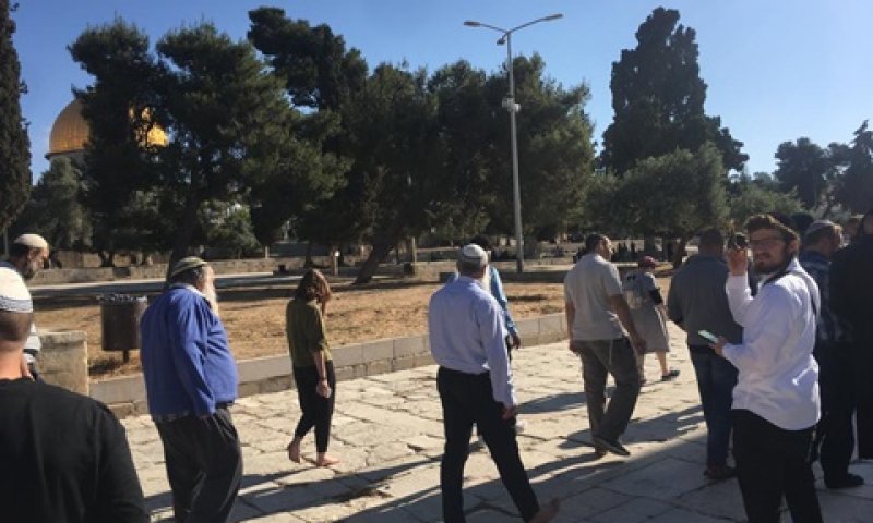 [צילום: מעיין ברבי, 'בידינו-הקרן למורשת הר הבית']