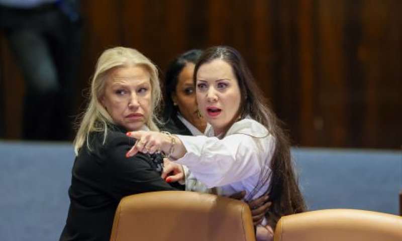 ח"כ טלי גוטליב במהלך הדיון היום [צילום: נועם מושקוביץ/דוברות הכנסת]