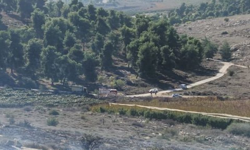 שריפות בשטחים פתוחים בגליל העליון [צילום: אסף בן-לולו/ כב"ה צפון]