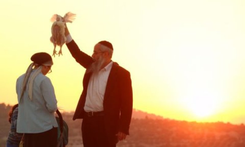 [צילום: יעקב לדרמן/פלאש 90]