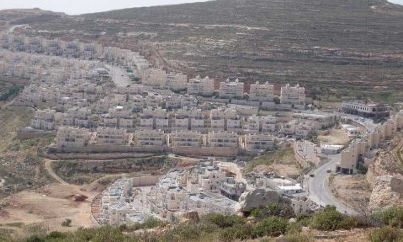 גבעת זאב