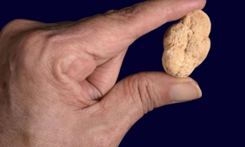 הצלמית העתיקה [צילום: קלרה עמית, רשות העתיקות ]