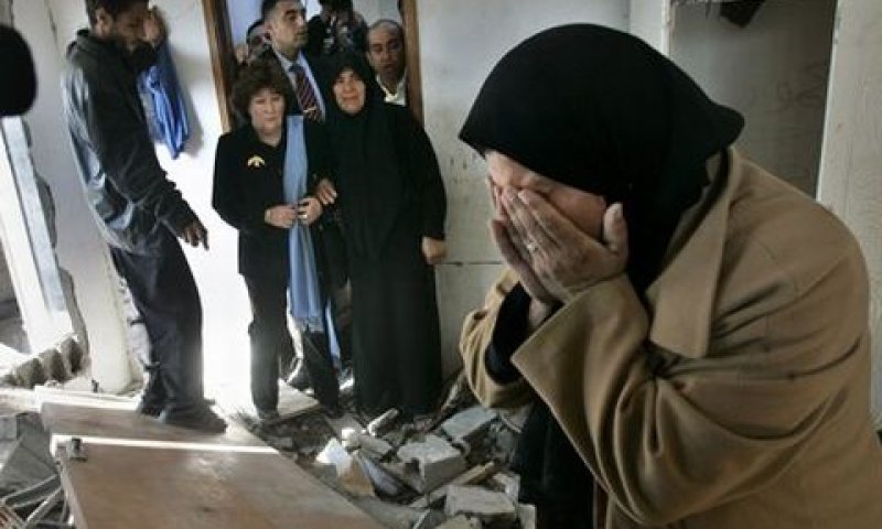 ארבור בבית חנון [צילום: AP]
