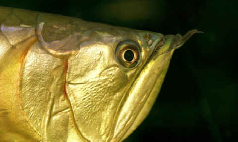 [צילום: פלאש 90]