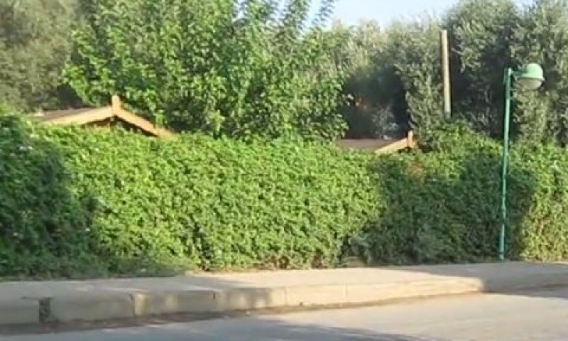 תאי ווילג' בשדה נחמיה