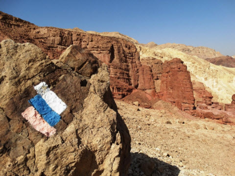 [צילום: דב גרינבלט, החברה להגנת הטבע]