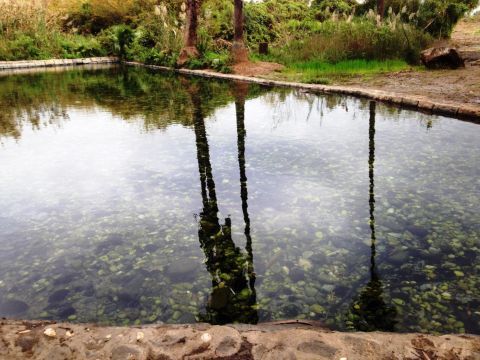 בריכת השכשוך בנחל עין נון [צילום: רשות הכינרת]