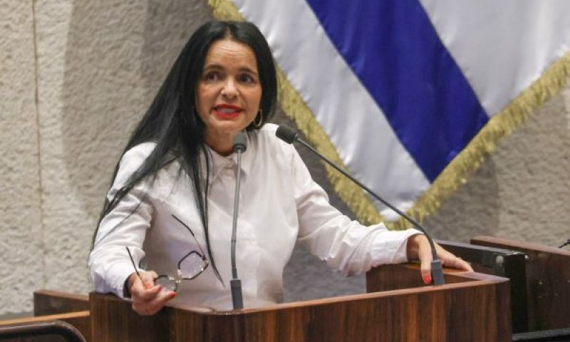 [צילום: דני שם-טוב/דוברות הכנסת]