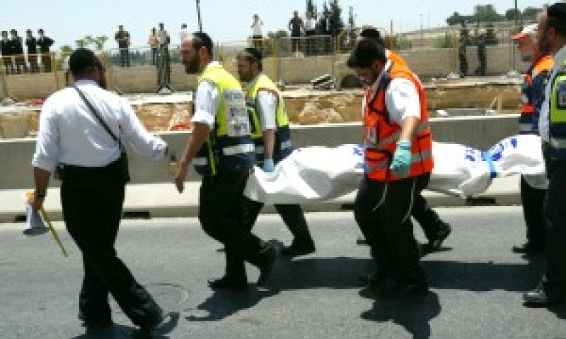 [צילום: פלאש 90]