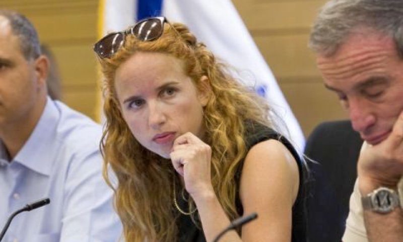 שפיר בוועדת הכספים הקודמת [צילום: פלאש 90]