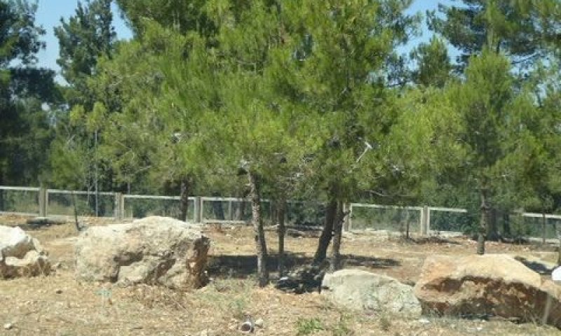 גינת הכלבים [צילום: רשות מקרקעי ישראל]