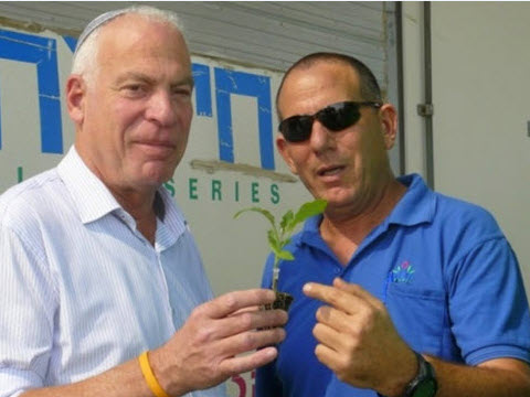 [צילום: יח"צ]