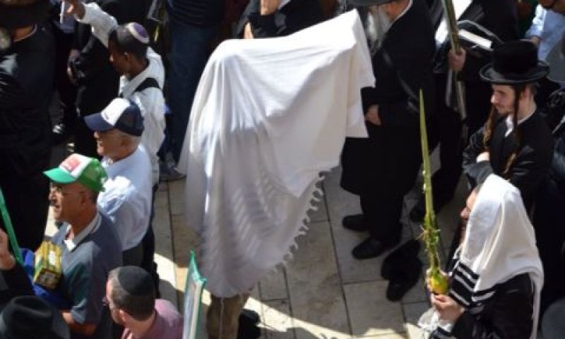 ברכת הכהנים [צילום: אהרן והב/חדשות 24]