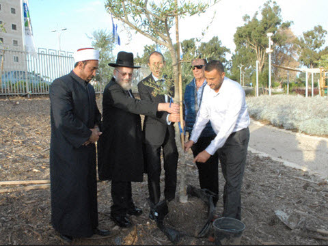 [צילום: עיריית עכו]