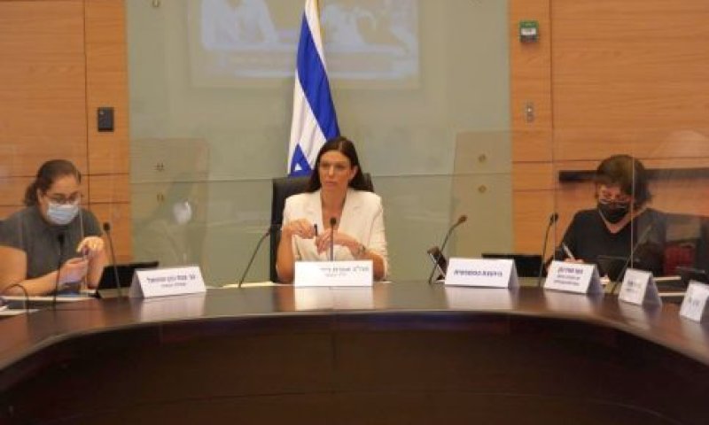 ועדת העבודה והרווחה [צילום: דני שם-טוב, דוברות הכנסת]