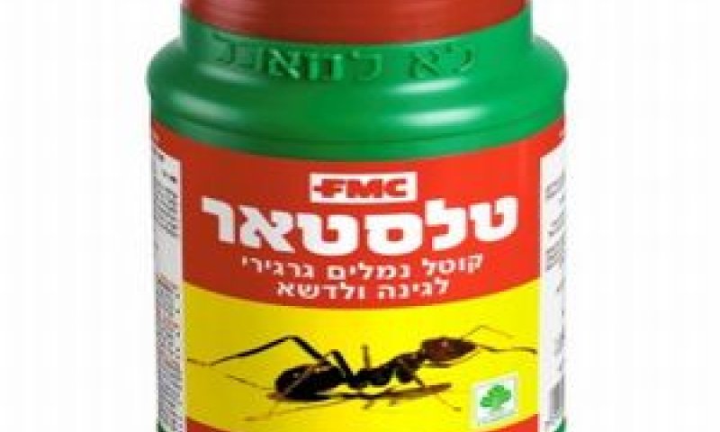 קוטל הנמלים