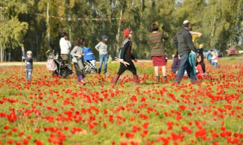 מטיילים במסגרת פסטיבל דרום אדום [צילום: פלאש 90]