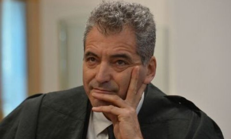 דקל. לא מוצדק [צילום: יוסי זליגר]