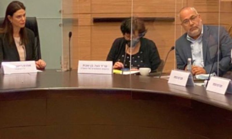 ח"כ רייטן מרום וח"כ סעדי בוועדה [צילום: נועם מושקוביץ/דוברות הכנסת]