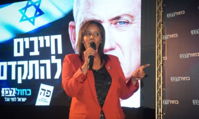תמנו שטה [צילום: אבשלום ששוני/פלאש 90]