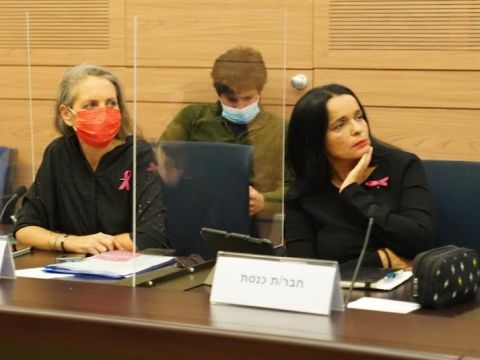 חברות הכנסת יסמין פרידמן וגבי לסקי [צילום: דני שם-טוב/דוברות הכנסת]