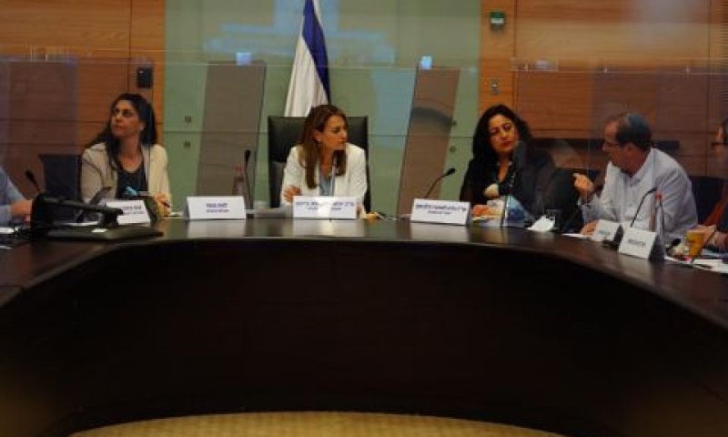 הדיון בוועדה בכנסת [צילום: עדינה וולמן דוברות הכנסת]