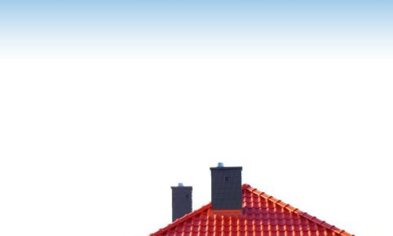 [צילום: FREEPIK]