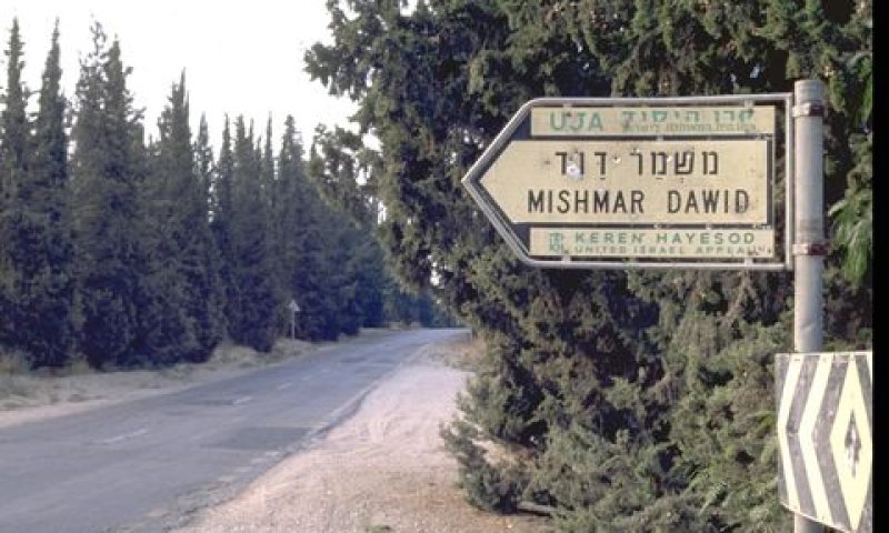 [צילום ארכיון: אריק חרמוני/לע"מ]