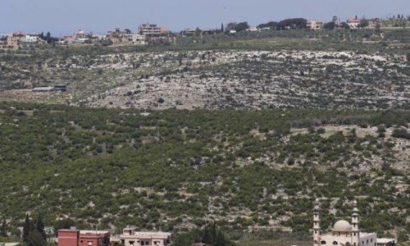 [צילום: נתי שוחט/פלאש 90]
