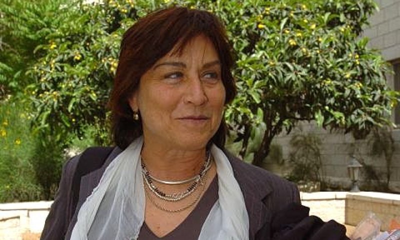 צמל. לא אמת [צילום: פלאש 90]