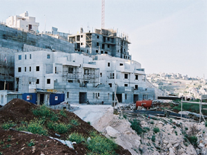 פרויקטים באבו-דיס ובחושן